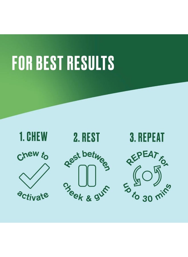 Nicorette Freshmint 4mg Gum Nicotine 210 Pieces (Stop Smoking Aid) - Image 3